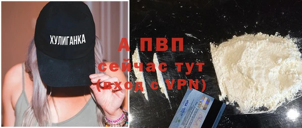 крисы Липки